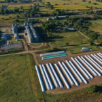 milei’s-land-reform-hits-a-wall:-argentina’s-senate-blocks-opening-rural-property-to-foreign-buyers