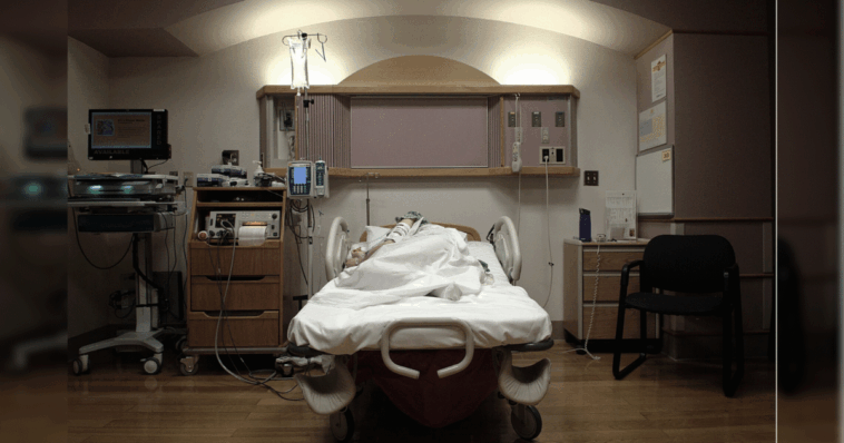 family-recounts-chilling-meetings-with-doctors,-nurses-before-beloved-grandmother-was-euthanized,-allegedly-against-her-will-and-theirs