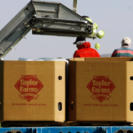 recall:-taylor-farms-pulls-foods-containing-jalapenos-amid-salmonella-concerns
