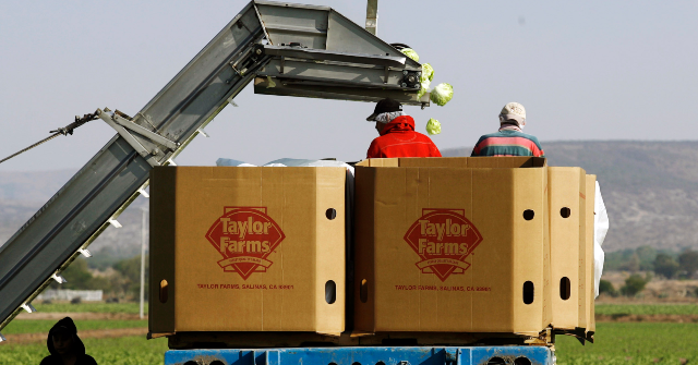 recall:-taylor-farms-pulls-foods-containing-jalapenos-amid-salmonella-concerns