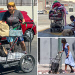 cold-hard-cash-offered-for-tipsters-to-report-animal-abuse-as-issue-spirals-on-skid-row