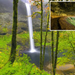 tourist-dies-after-falling-170-feet-from-waterfall-at-silver-falls-state-park-while-posing-for-pictures