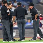mlb-game-delayed-after-bizarre-sequence-confuses-everyone,-including-the-umps