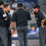 watch:-rules-confusion-leads-to-16-minute-delay-in-mlb-game-as-red-sox-accidentally-score-a-run