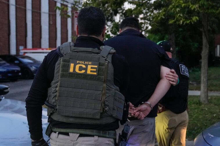 ice-planning-to-outfit-officers-with-gloves-that-deliver-‘bee-sting’-electric-shocks