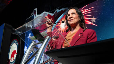 lisa-demuth-defeats-mike-lindell-for-minnesota-governor-nomination