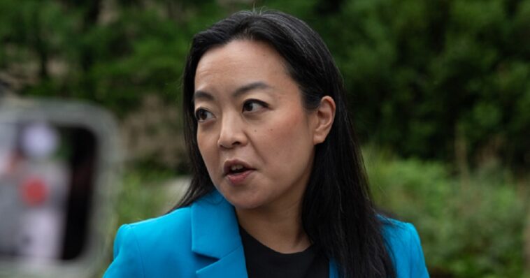 fitting-and-hilarious:-crazy-socialist-francesca-hong-loses-wisconsin-dem-gov-to-guy-who-re-entered-race-weeks-ago-because-his-wife-saw-a-bird