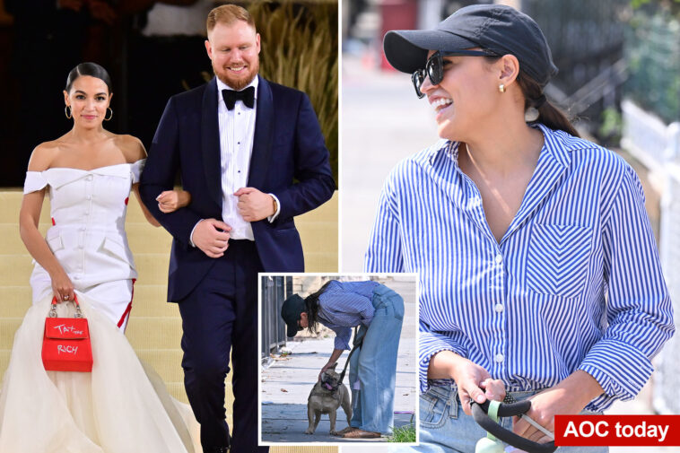 aoc-doesn’t-deny-breaking-up-with-fiance-riley-roberts,-gives-head-scratching-response-after-posting-egg-retrieval-video