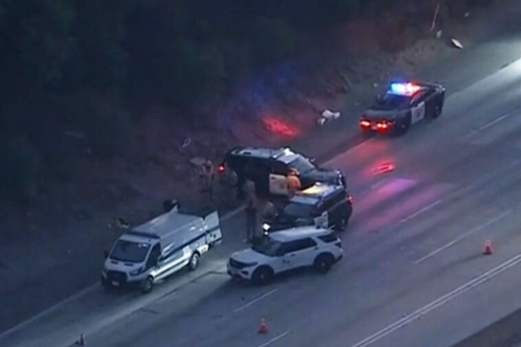 chaos-on-major-california-freeway-as-pedestrian-mowed-down-leading-to-mass-congestion