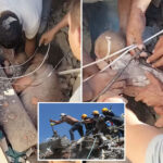 astonishing-video-shows-baby-rescued-from-rubble-as-colombian-quake-toll-tops-250