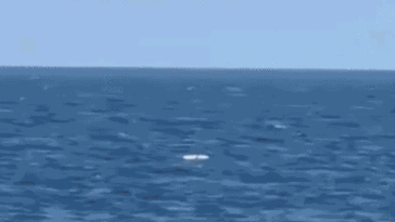 ukraine-pounds-black-sea-fleet’s-‘last-major-stronghold’-while-putin-flexes-naval-power-in-pacific