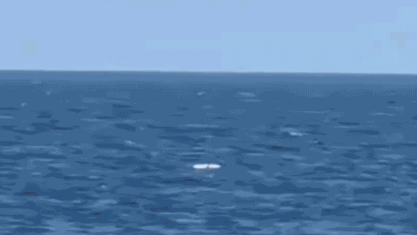 ukraine-pounds-black-sea-fleet’s-‘last-major-stronghold’-while-putin-flexes-naval-power-in-pacific