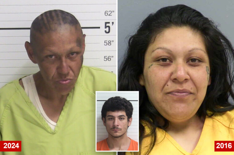 mom-whose-incestuous-affair-with-son-shocked-us-arrested-for-attack-on-old-woman’s-home