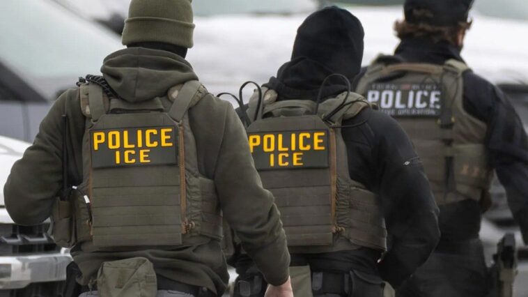ice-eyes-$20m-purchase-of-electric-shock-gloves-as-hochul-warns-of-legal-consequences