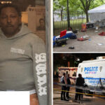 two-gunmen-facing-88-charges-for-nyc-shooting-that-injured-8,-killed-puppy-at-july-4th-cookout:-da