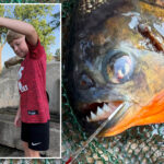 pennsylvania-boy-expected-to-catch-a-bass-—-he-hooked-a-razor-toothed-nightmare-instead