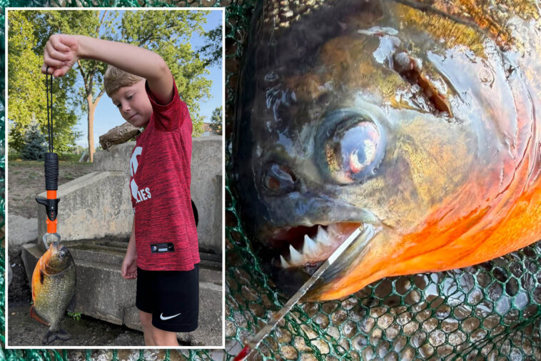 pennsylvania-boy-expected-to-catch-a-bass-—-he-hooked-a-razor-toothed-nightmare-instead