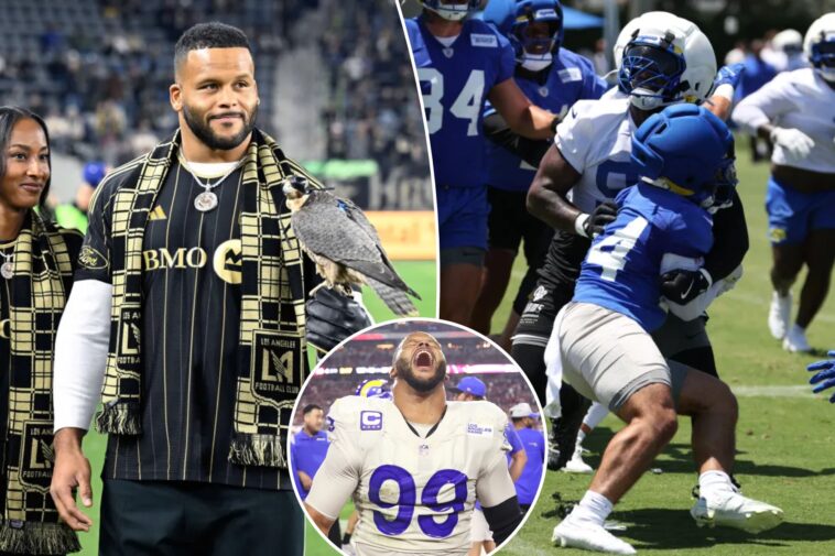 rams-teammate-noticed-something-terrifying-during-aaron-donald-workout