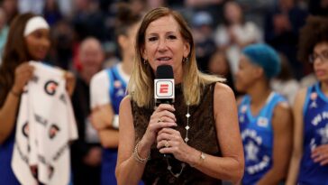 clueless-wnba-attacks-‘bad-faith’-fans-who-don’t-want-biological-men-ruining-women’s-sports