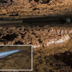 scientists-discover-new-eyeless-‘demon-cavefish’-in-alabama-cave-beneath-army-base