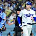 freddie-freeman-takes-freightening-fall-down-dugout-stairs,-but-hopes-to-be-ok