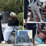 nyc-women’s-shelter-brings-cat-fights,-junkies-and-bizarre-antics-to-neighborhood-near-playground