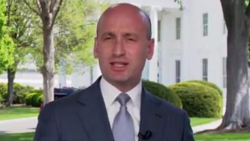 stephen-miller-slams-aoc-for-trying-to-laugh-off-the-woke-era-that-ruined-people’s-lives-and-left-others-dead-(video)