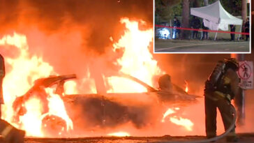 driver-killed-after-car-erupts-in-flames-in-crash-in-griffith-park