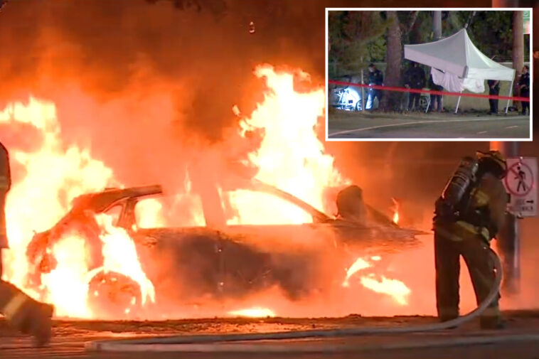 driver-killed-after-car-erupts-in-flames-in-crash-in-griffith-park