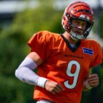 kalshi-promo-code-nypmax:-trade-$25,-get-up-to-$500-for-lions-vs.-bengals
