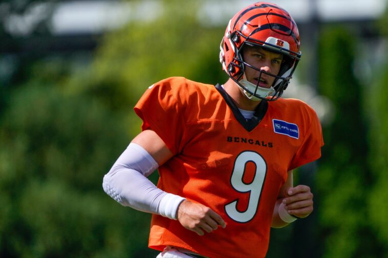 kalshi-promo-code-nypmax:-trade-$25,-get-up-to-$500-for-lions-vs.-bengals