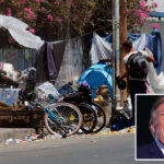 judge-blocks-trump-administration-from-suspending-$240m-in-la-homelessness-funds