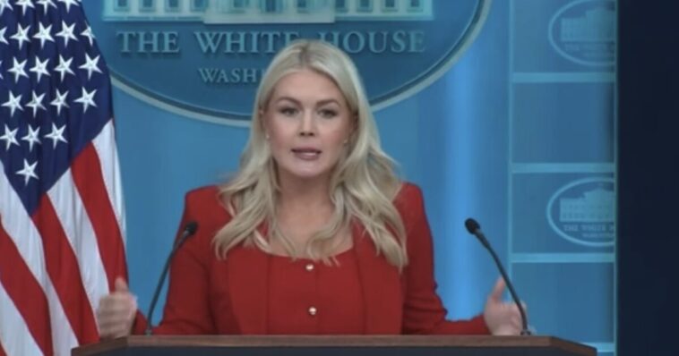 two-fierce-trump-loyalists-have-emerged-as-frontrunners-to-potentially-replace-outgoing-press-secretary-karoline-leavitt