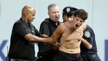 three-fans-storm-yankee-stadium-field-as-security-springs-into-action,-takes-down-intruders-in-epic-fashion