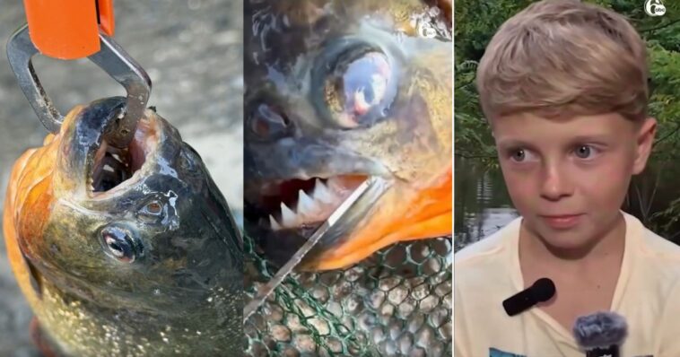 eight-year-old-boy-fishing-in-pennsylvania-lake-reels-in-a-predator-that-never-should-have-been-there