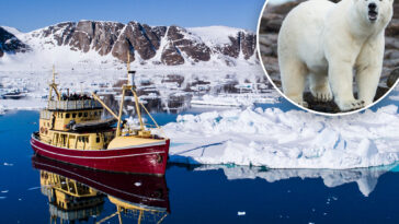 boat-operator-fined-over-$5k-for-waking-sleeping-polar-bear