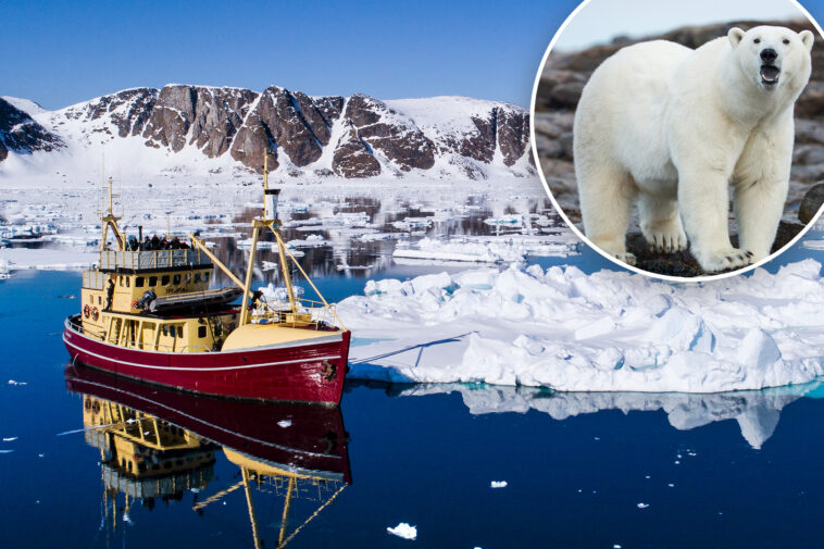 boat-operator-fined-over-$5k-for-waking-sleeping-polar-bear