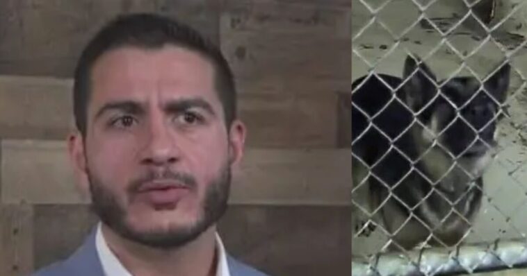 far-left-democrat-candidate-abdul-el-sayed-oversaw-‘slaughterhouse’-that-killed-thousands-of-dogs-and-cats-under-his-watch