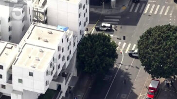 stabbing-horror-as-victim-knifed-to-death-outside-la-police-station