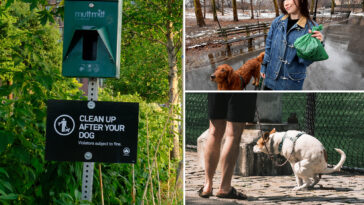 nyc-will-spend-$180k-to-curb-rampant-dog-poop-problem