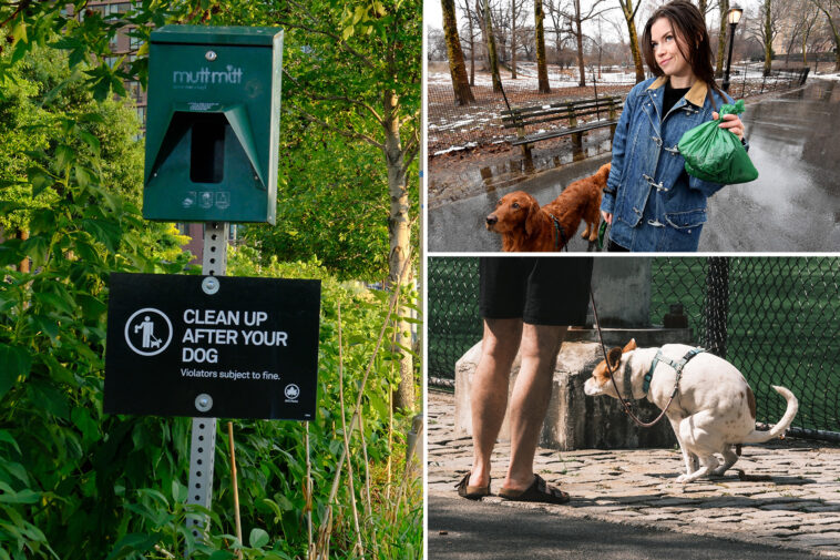 nyc-will-spend-$180k-to-curb-rampant-dog-poop-problem