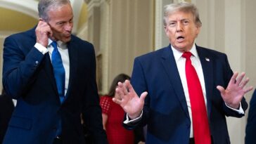 top-trump-officials-sound-alarm-over-gop-midterm-strategy