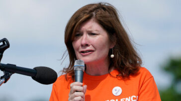meltdown:-brady-campaign-loses-it-over-loss-of-‘common-sense’-suppressor-gun-controls
