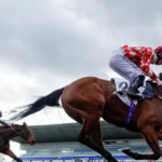 nolte:-52-percent-of-gen-z-morons-have-moved-money-from-investments-to-sports-betting