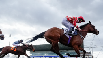 nolte:-52-percent-of-gen-z-morons-have-moved-money-from-investments-to-sports-betting