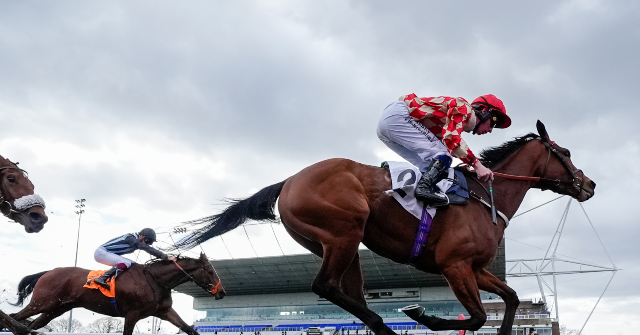 nolte:-52-percent-of-gen-z-morons-have-moved-money-from-investments-to-sports-betting