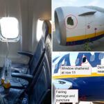 bird-strike-may-have-caused-disastrous-ryanair-flight-where-passenger-was-nearly-sucked-out-of-window:-ntsb