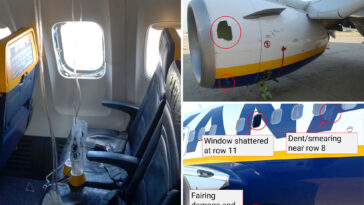 bird-strike-may-have-caused-disastrous-ryanair-flight-where-passenger-was-nearly-sucked-out-of-window:-ntsb