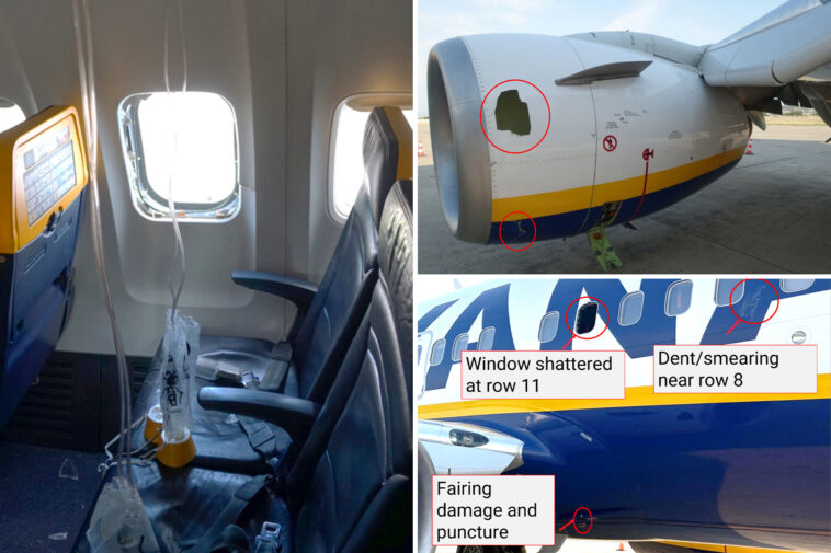 bird-strike-may-have-caused-disastrous-ryanair-flight-where-passenger-was-nearly-sucked-out-of-window:-ntsb