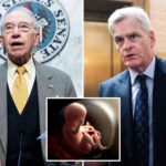 pro-lifers-push-investigation-into-nih-using-aborted-baby-organs-and-tissue-in-research